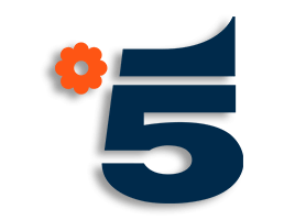 Canale 5
